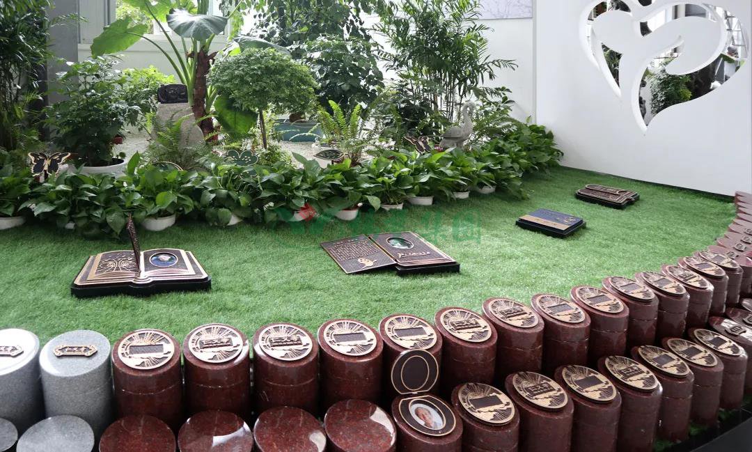 太阳城官网(中国)集团有限公司