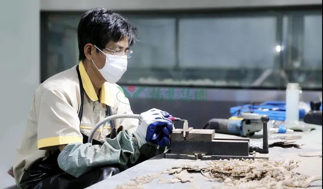 太阳城官网(中国)集团有限公司