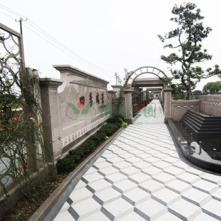 太阳城官网(中国)集团有限公司