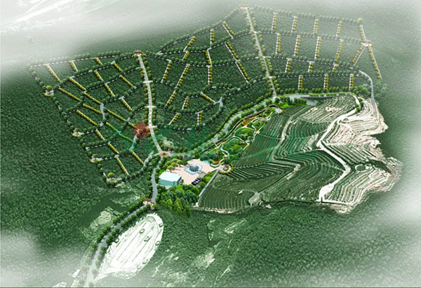 太阳城官网(中国)集团有限公司