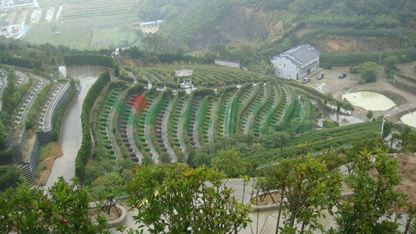 太阳城官网(中国)集团有限公司