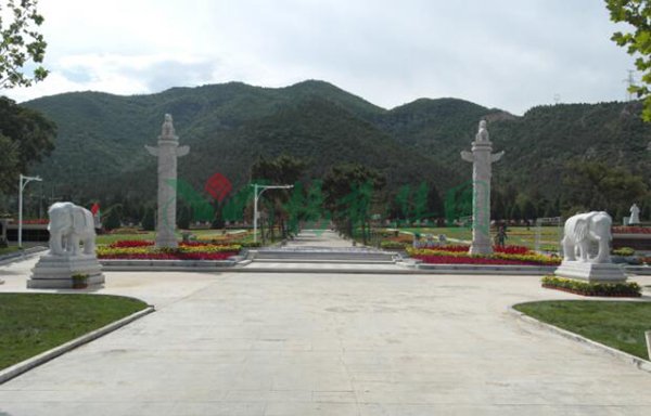 太阳城官网(中国)集团有限公司