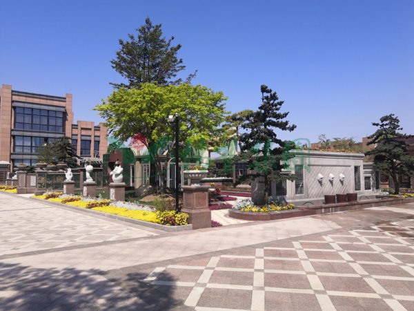 太阳城官网(中国)集团有限公司