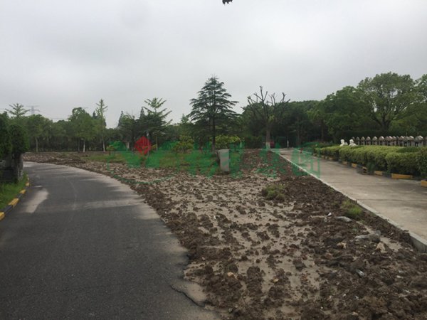 太阳城官网(中国)集团有限公司