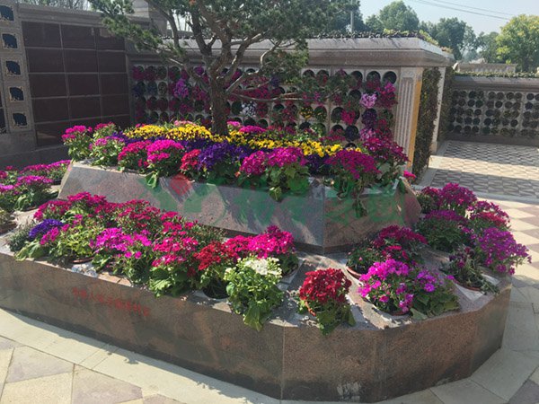 太阳城官网(中国)集团有限公司