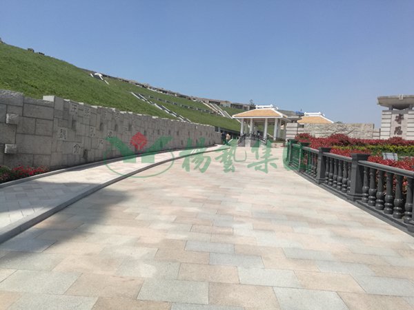 太阳城官网(中国)集团有限公司