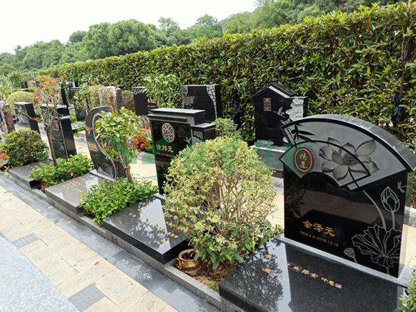 太阳城官网(中国)集团有限公司