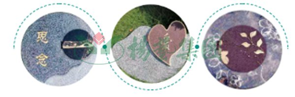 太阳城官网(中国)集团有限公司