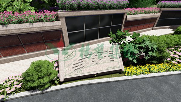 太阳城官网(中国)集团有限公司