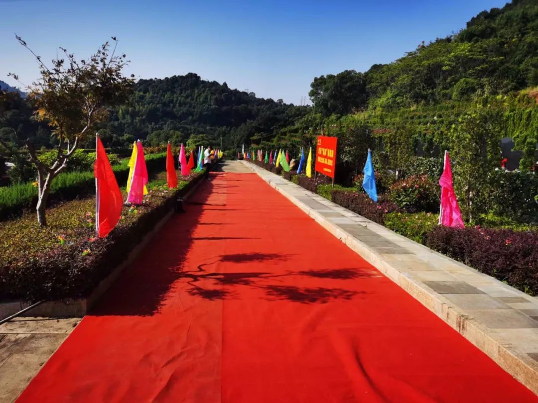 太阳城官网(中国)集团有限公司