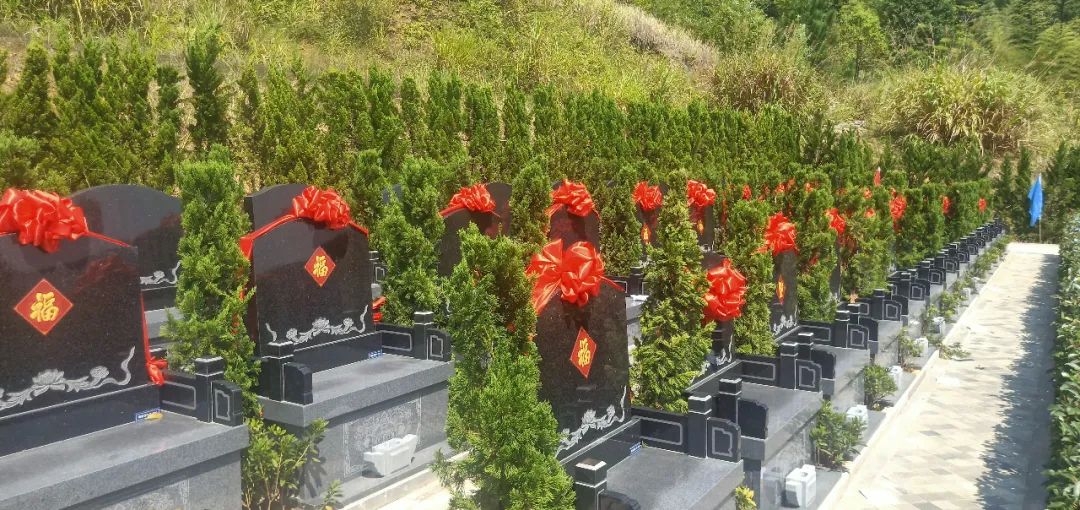 太阳城官网(中国)集团有限公司