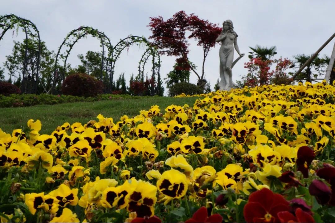 太阳城官网(中国)集团有限公司