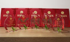 “太阳城官网杯”浙江省节地生态埋葬设计作品奖