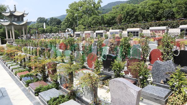 太阳城官网(中国)集团有限公司