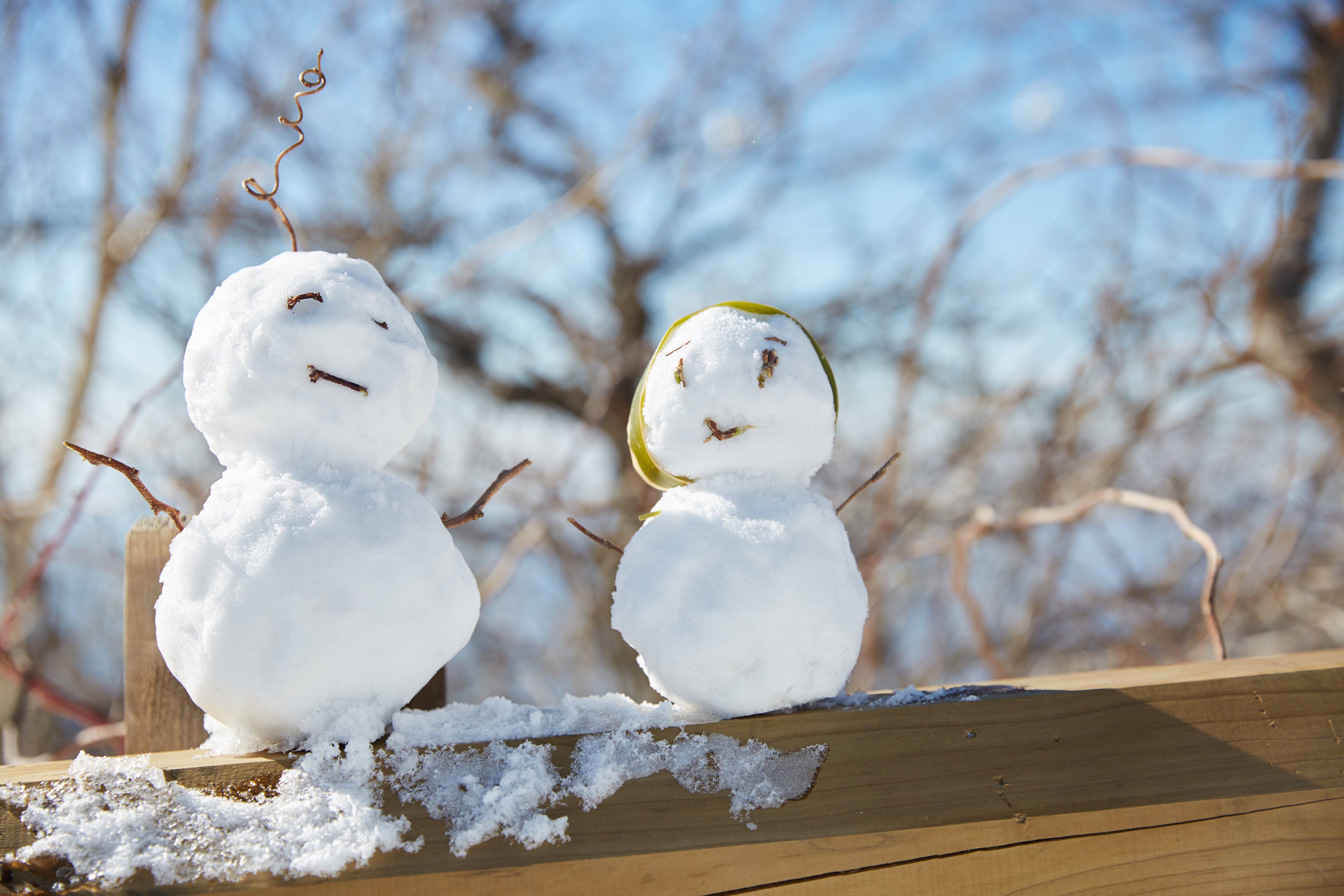 冬至，，，，，，，暖“杨”相伴 | 太阳城官网人全力配合各墓园冬至落葬