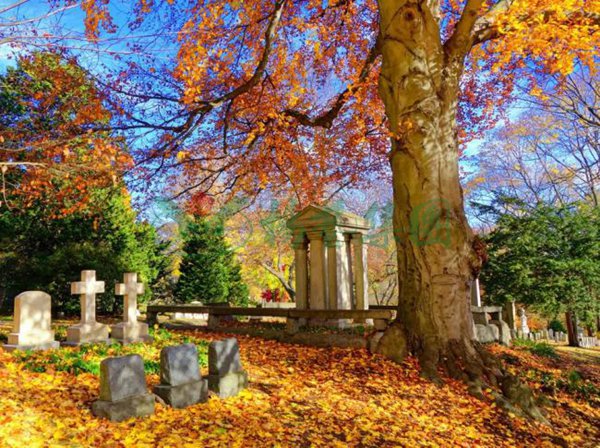 太阳城官网(中国)集团有限公司