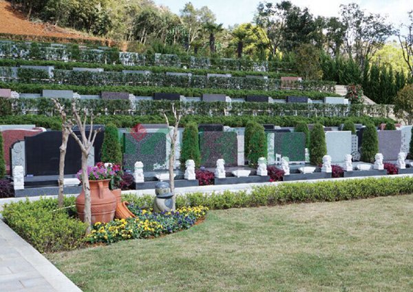 太阳城官网(中国)集团有限公司