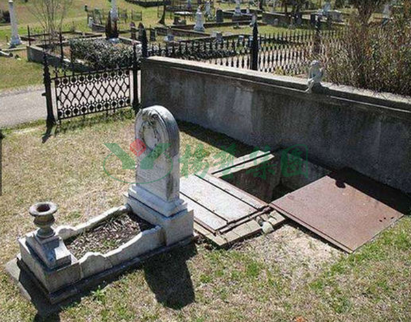 太阳城官网(中国)集团有限公司