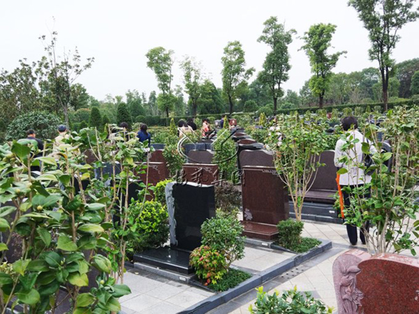 太阳城官网(中国)集团有限公司