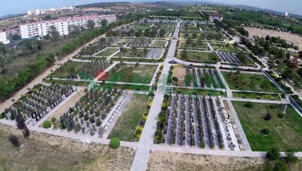 太阳城官网(中国)集团有限公司