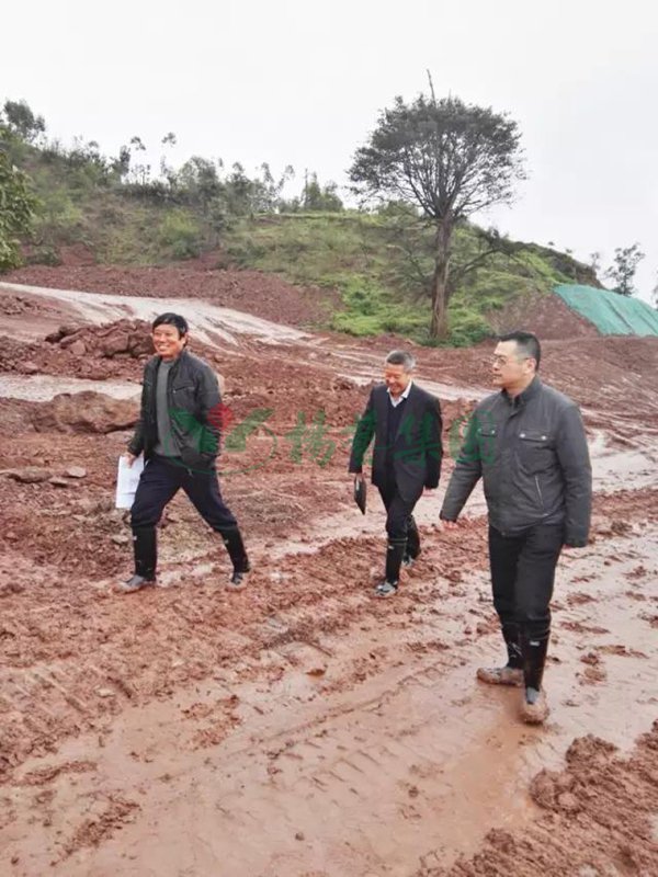 太阳城官网(中国)集团有限公司