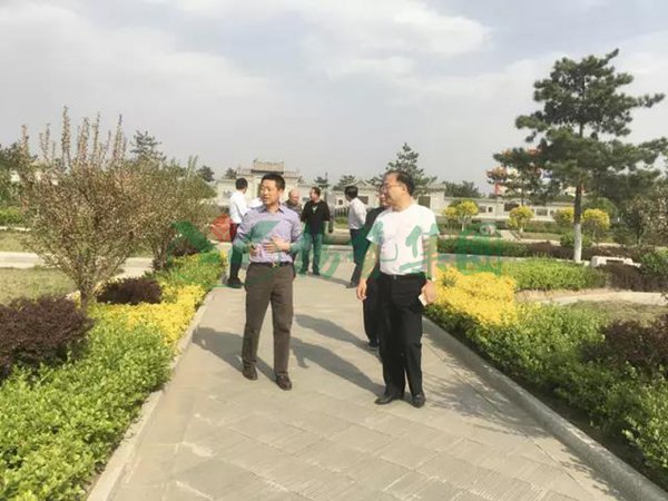 太阳城官网(中国)集团有限公司