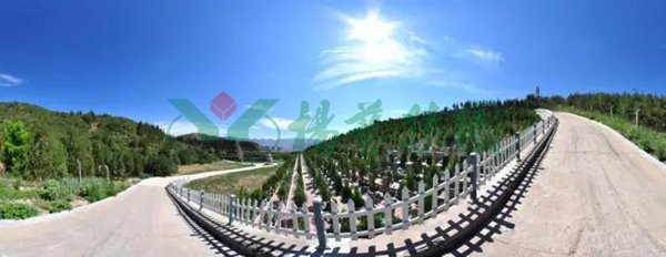 太阳城官网(中国)集团有限公司