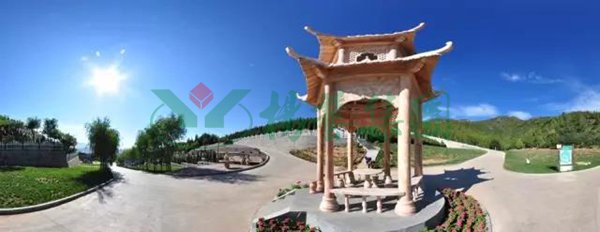 太阳城官网(中国)集团有限公司