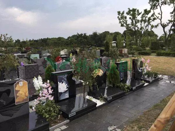 太阳城官网(中国)集团有限公司