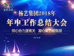 太阳城官网集团2018年中总结报告（摘要）