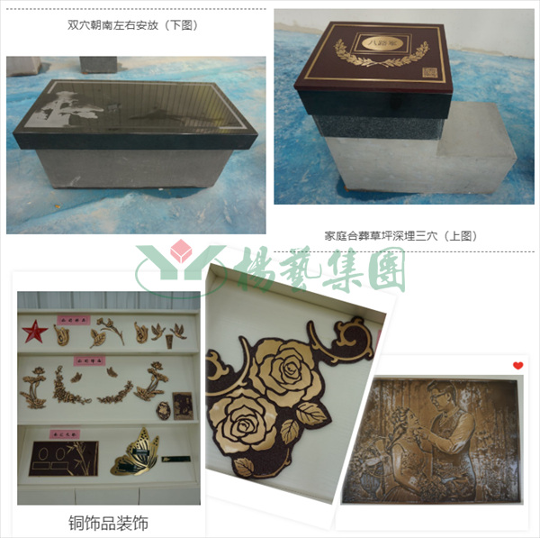 太阳城官网(中国)集团有限公司