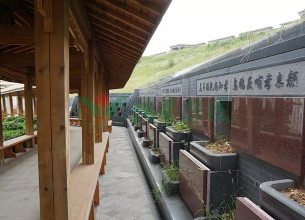 太阳城官网(中国)集团有限公司