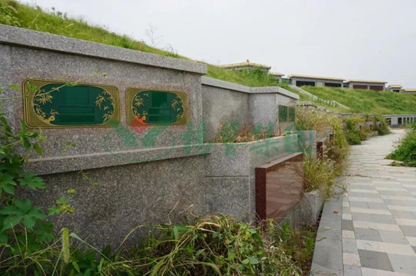 太阳城官网(中国)集团有限公司