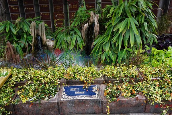 太阳城官网(中国)集团有限公司