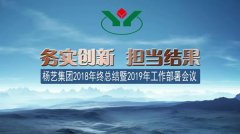 太阳城官网集团2018年总结暨2019年岁情安排聚会召开