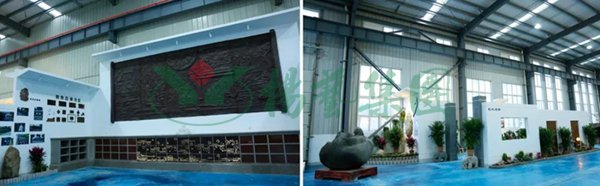 太阳城官网(中国)集团有限公司