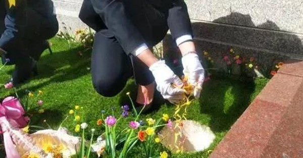 太阳城官网(中国)集团有限公司