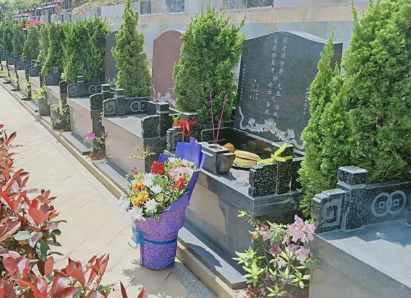 太阳城官网(中国)集团有限公司