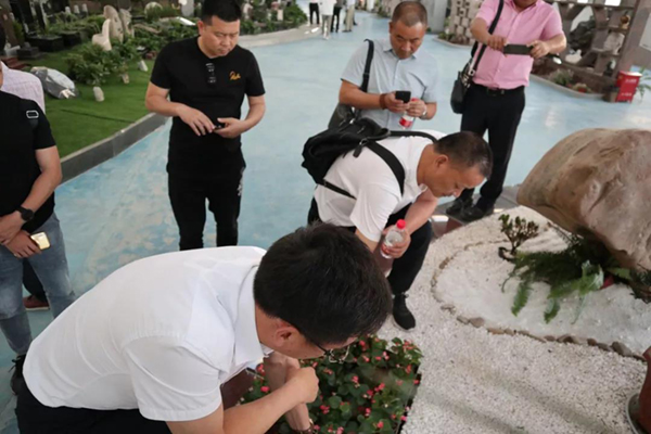 太阳城官网(中国)集团有限公司