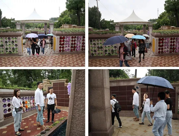 太阳城官网(中国)集团有限公司