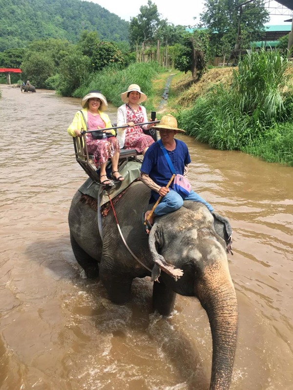 太阳城官网(中国)集团有限公司