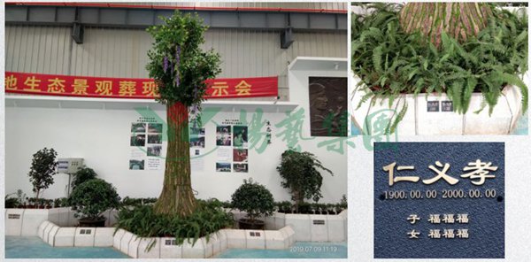 太阳城官网(中国)集团有限公司