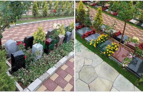 太阳城官网(中国)集团有限公司