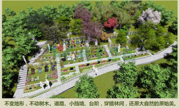 太阳城官网(中国)集团有限公司