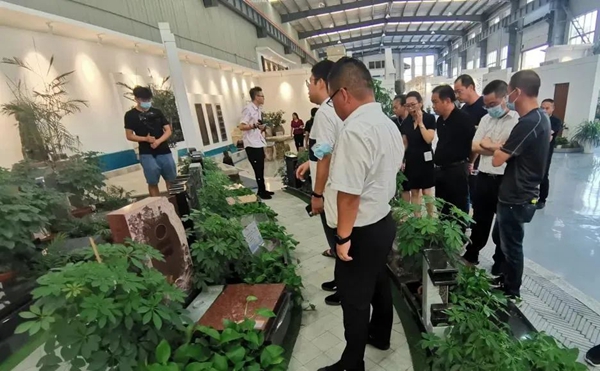 太阳城官网(中国)集团有限公司