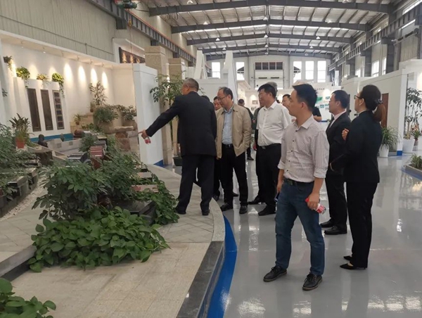 太阳城官网(中国)集团有限公司