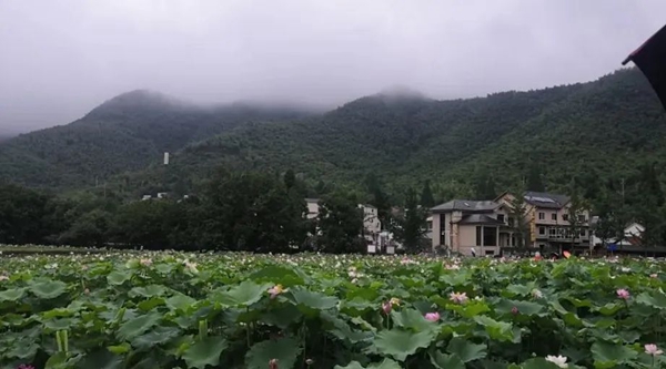 太阳城官网(中国)集团有限公司