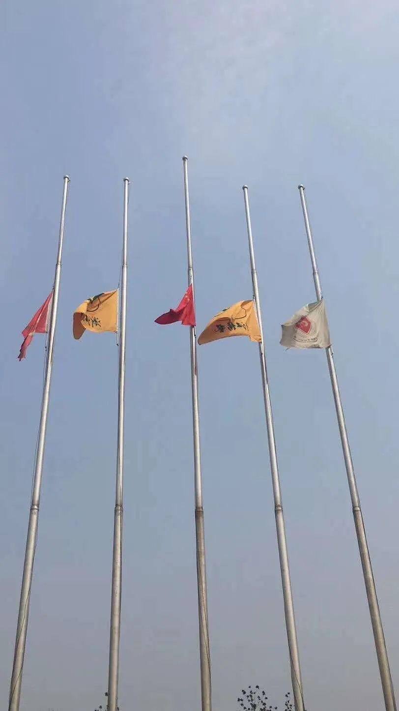 太阳城官网(中国)集团有限公司