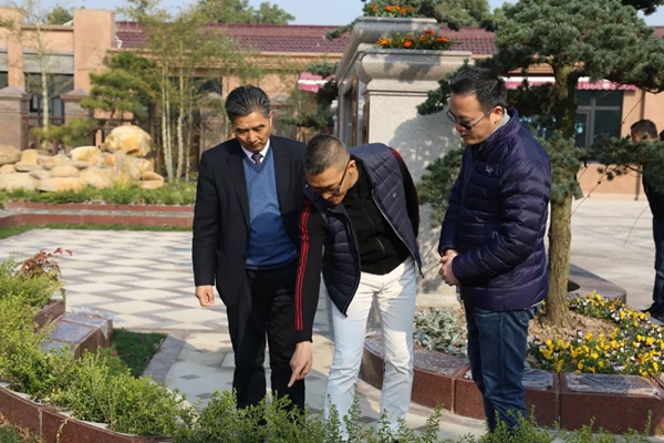 太阳城官网(中国)集团有限公司