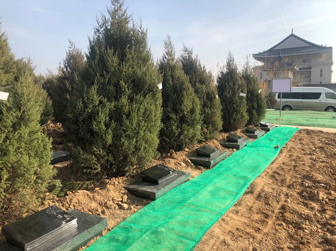 太阳城官网(中国)集团有限公司